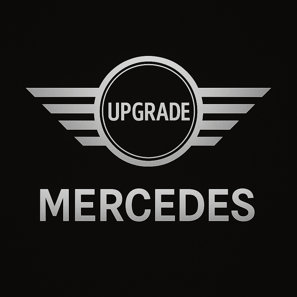 MERCEDES - FORZA-PARIS