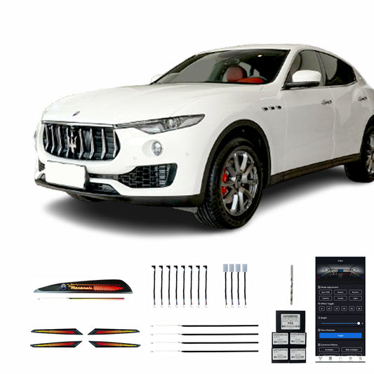 16 22 Levante Dragon Scale 22 Lumières Option Matrice De Points Éclairage Ambiant Intérieur De Voiture Haute Qualité Vente Usine