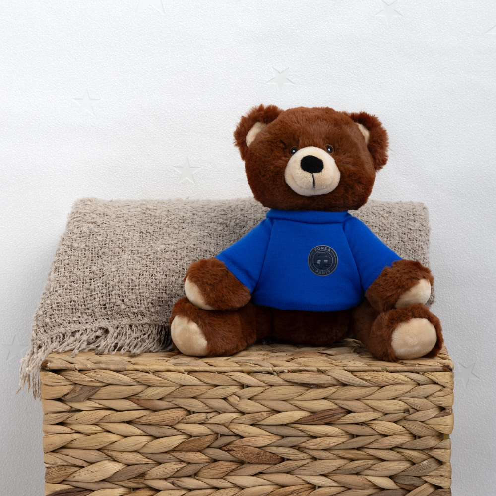 Nounours RecycelBär® marron - bleu roi