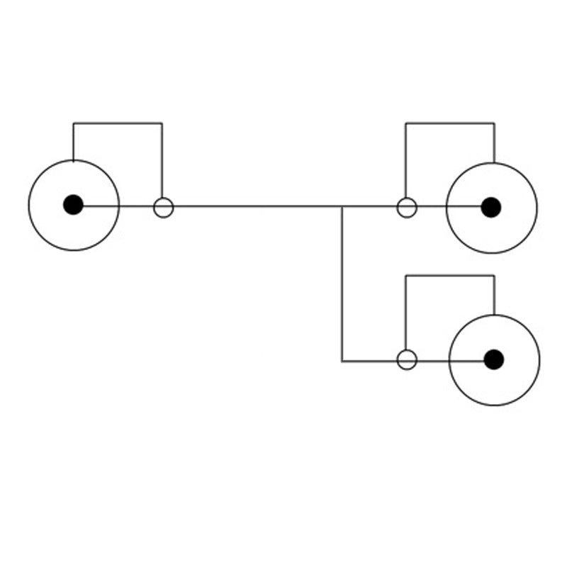 AMPIRE audio Y-cable 30cm, blister packaging