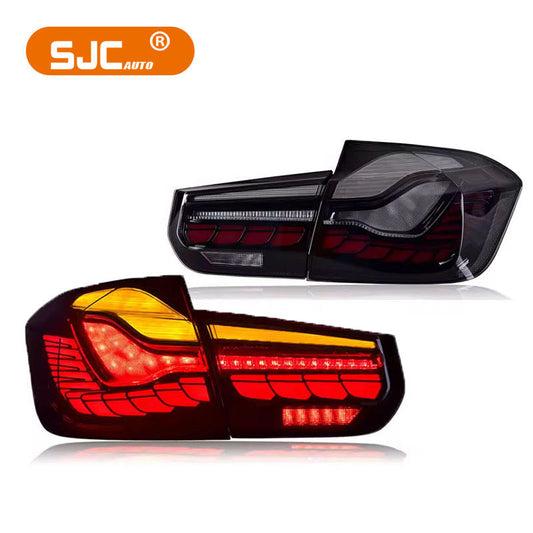 SJC Accessoires Auto BMW 3 Series F30 F35 M3 2013-2018 Feux Arrière LED Écailles Dragon