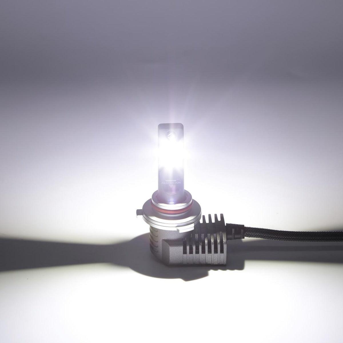 سلسلة P20 لمبات LED 5000LM صغيرة الحجم 6500K أبيض بارد | 2 لمبة