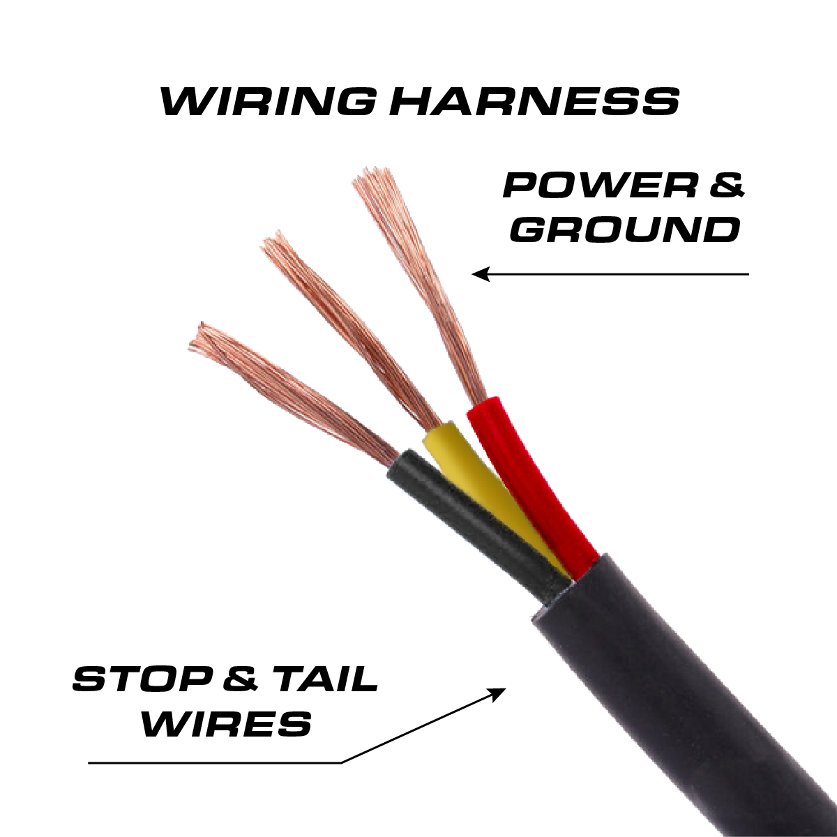 Perimeter Flood Light